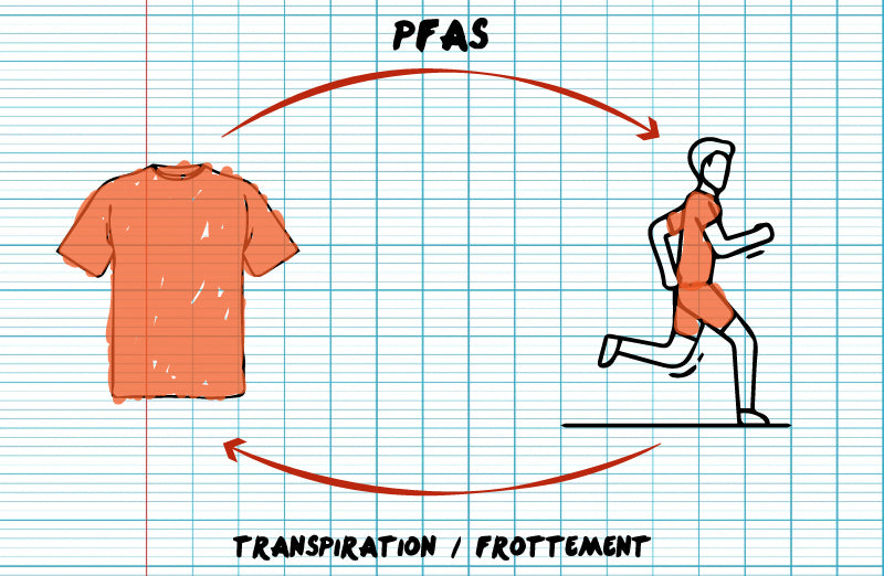 la transmission des PFAS dans le textile sportif